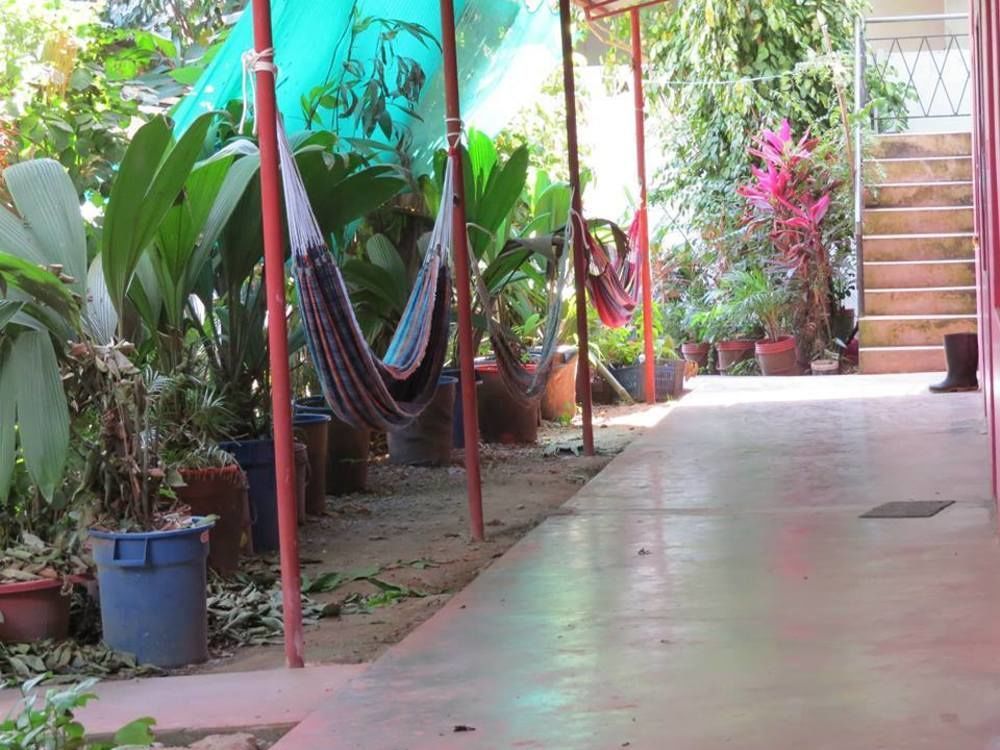 Tambopata Hostel Bambu Puerto Maldonado Extérieur photo