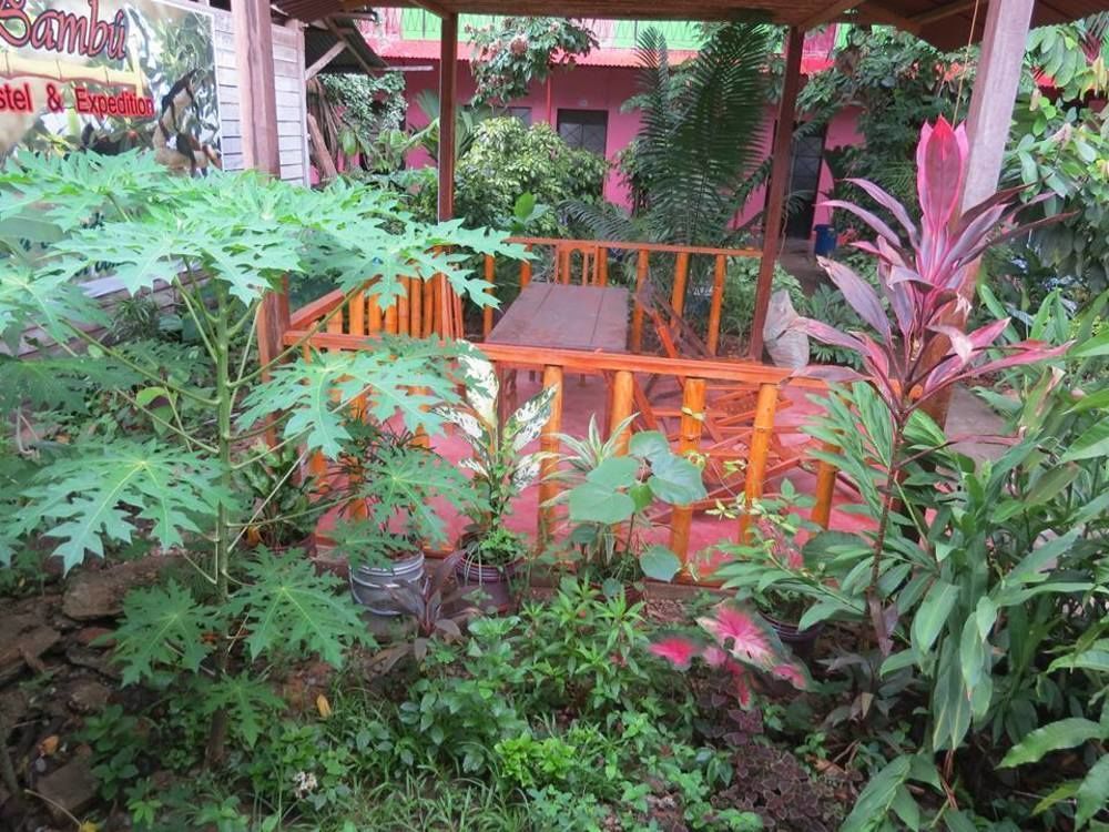 Tambopata Hostel Bambu Puerto Maldonado Extérieur photo