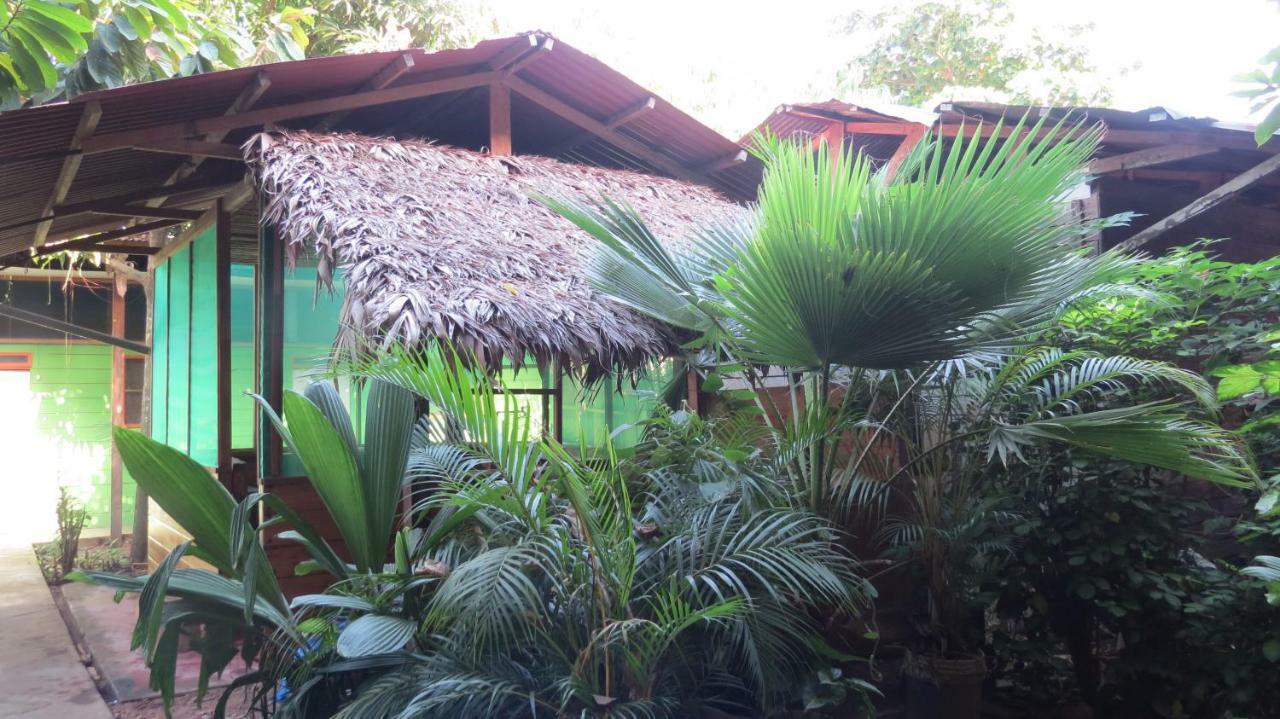 Tambopata Hostel Bambu Puerto Maldonado Extérieur photo