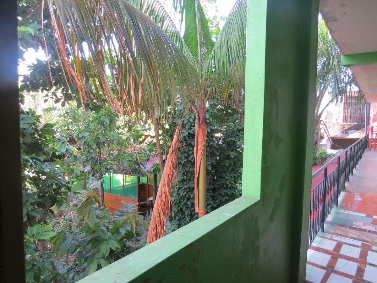 Tambopata Hostel Bambu Puerto Maldonado Extérieur photo